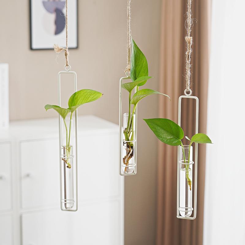Scandinavian-Style Glass Hydroponic Vase