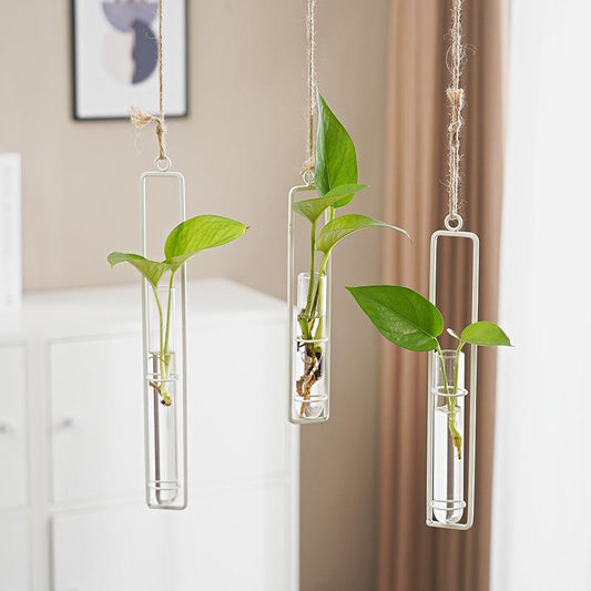 Scandinavian-Style Glass Hydroponic Vase