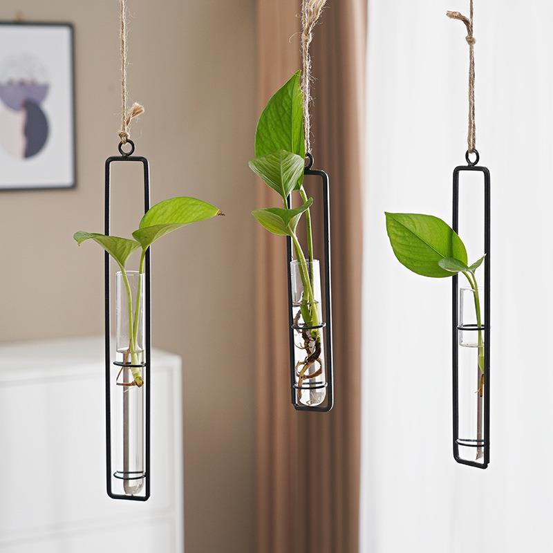 Scandinavian-Style Glass Hydroponic Vase
