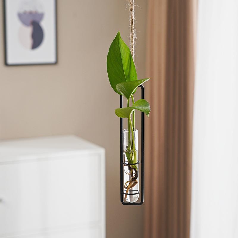 Scandinavian-Style Glass Hydroponic Vase
